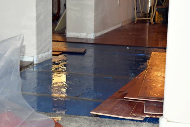 Professional Basement Flood Cleanup technician working in Garden City, MN